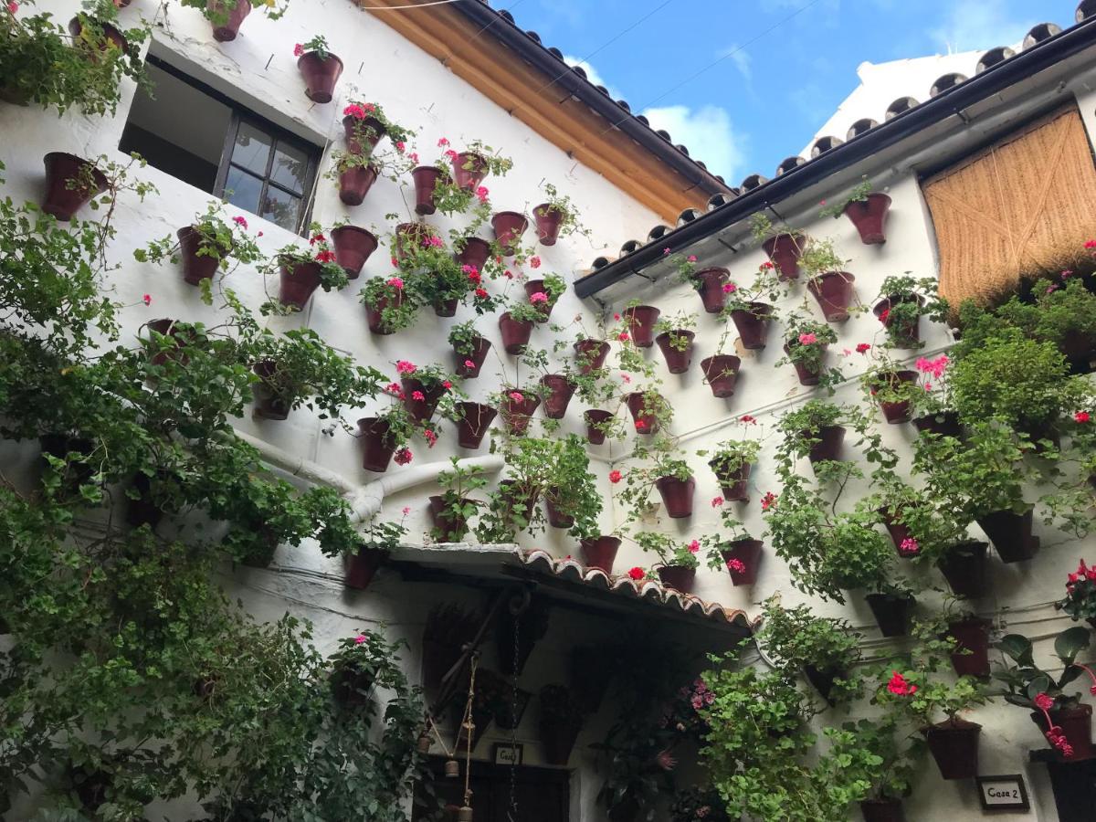 Aroma De Azahar, En San Basilio Apartamento Córdova Exterior foto